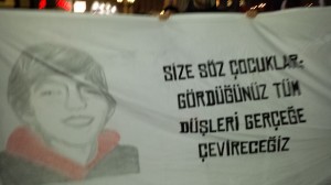 berkin linz3